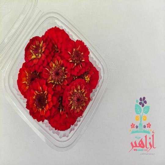 زهور زيزينيا - حمراء